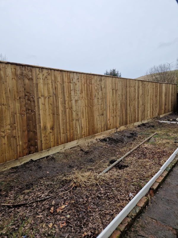 Fencing behind a cleared garden bed