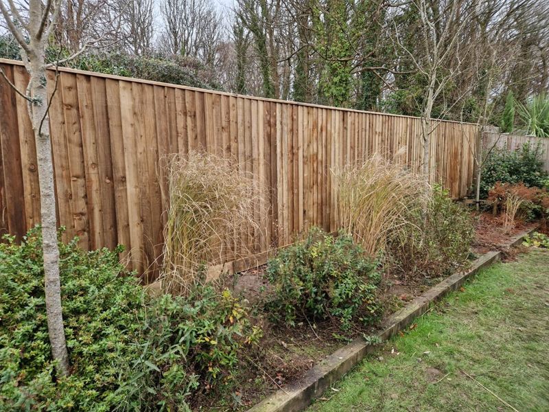 Featheredge fence behind a planted border
