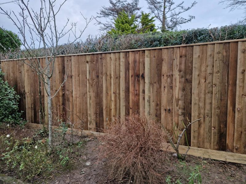 Featheredge fence in front of a hedge
