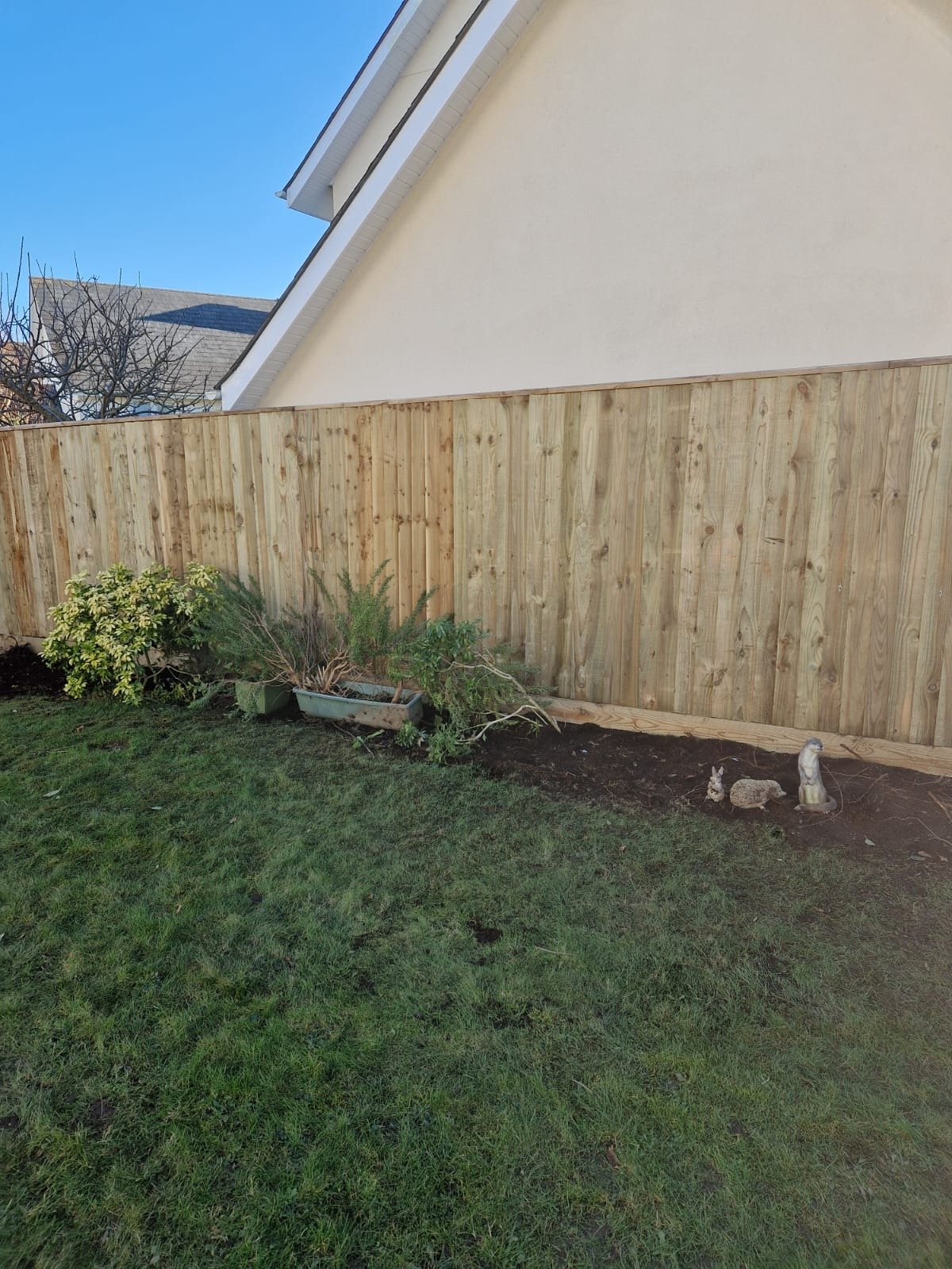 New timber fence above a lawn and planted border