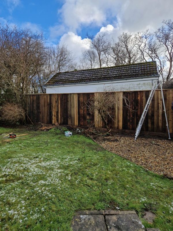 New fence panels along a lawned garden